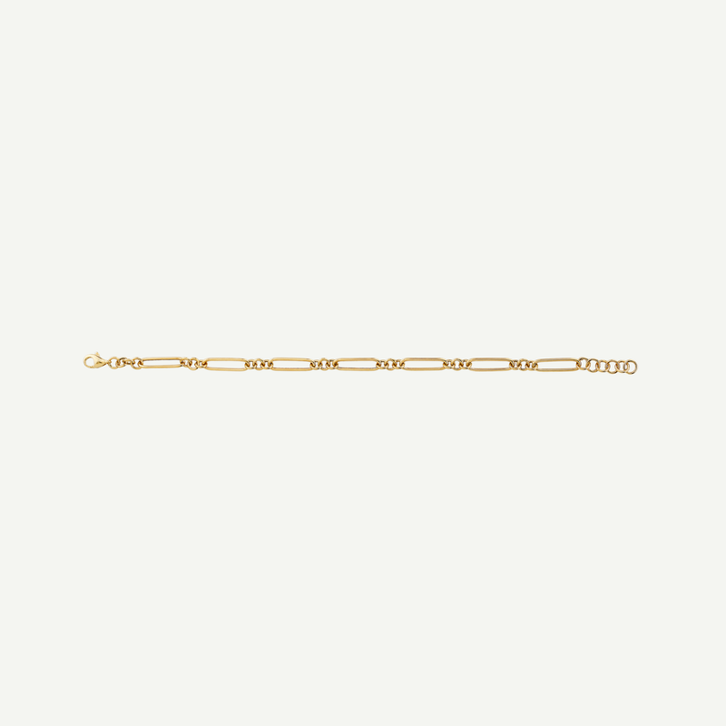 Mixed Link Paperclip Bracelet | in 10K Yellow Gold